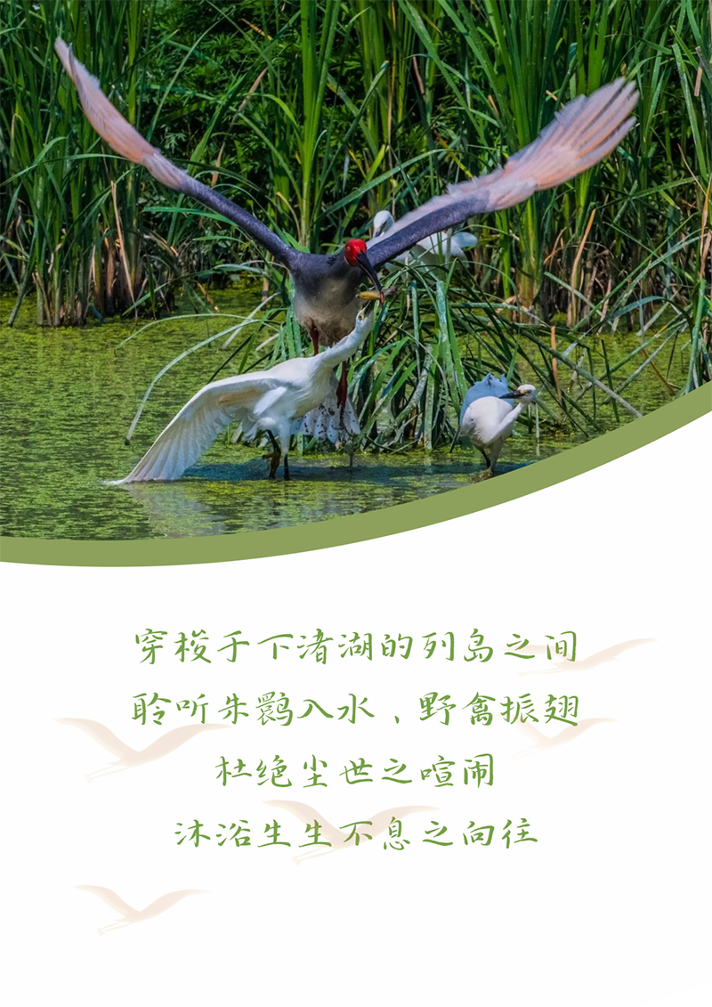 心心念廿 相伴AG电投厅 | 与德清相约 贺廿载诞辰